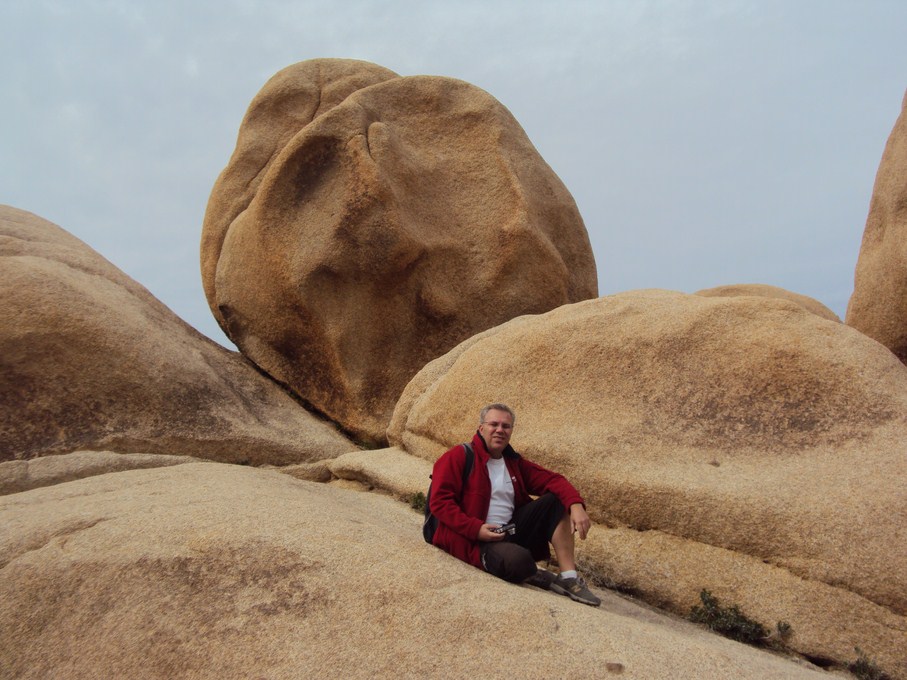 joshua tree (7) (Copier).JPG